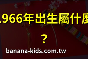 1966年属什么